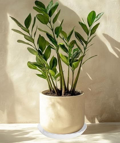 2 Pack Plant Saucer 22 inch, Heavy Duty Plastic Plant Saucers, Durable Plant Tray for Pots, Flower Saucers for Indoors, Plant Pot Saucers, Trays for Planter (White)