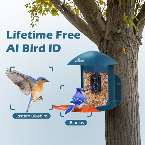 Smart Bird Feeder with Camera & Solar Panel, 2K HD Birdwatching Live