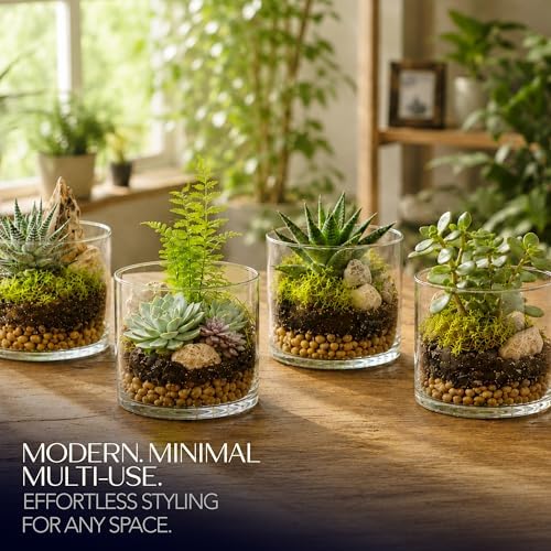 Royal Imports Glass Cylinder Flower Vase Cylinder Shape, 5"x5", Clear