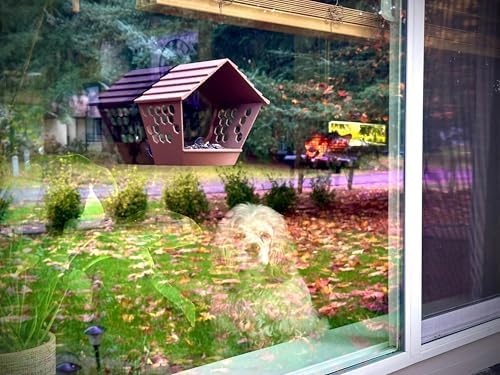 Window Bird Feeder for Outdoors Weatherproof Bird Feeder with Strong Suction Cups, Bird Watching for Cats, Easy to Clean Outdoor Birdhouse Feeder, Original Design Made in USA (Desert Tan)