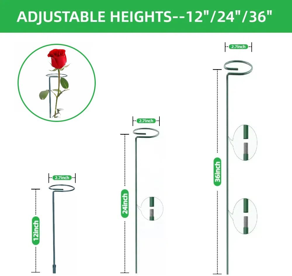 4-Pack Adjustable Plant Support Stakes - Heights: 12"/24"/36" - Stainless Steel & Deep Green - Plant Stakes for Indoor