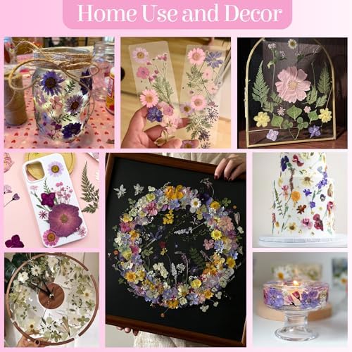 85Pcs Pink Dried Flowers for Crafts, Natural Pressed Flowers for Crafts Real Dried Pressed Flowers Dry Leaves for Resin, DIY Art, Scrapbook, Nails Decor, Jewelry, Candle & Soap Making, with Tweezers