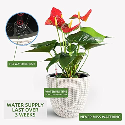 Dexceder 9x8 Self Watering Planter (Ivory White Rattan)
