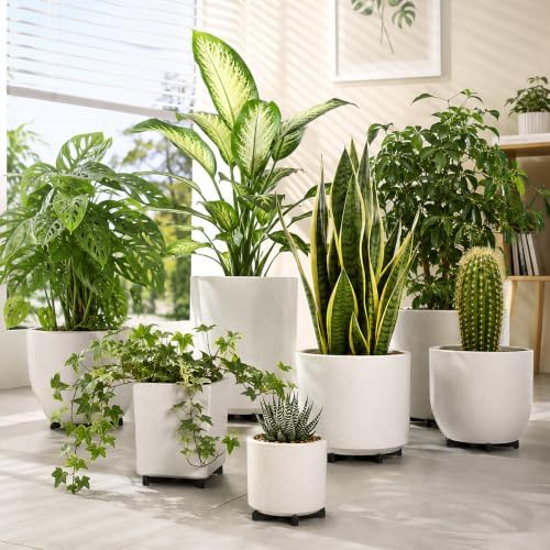24 Pack Pot Feet for Outdoor Planters, Black