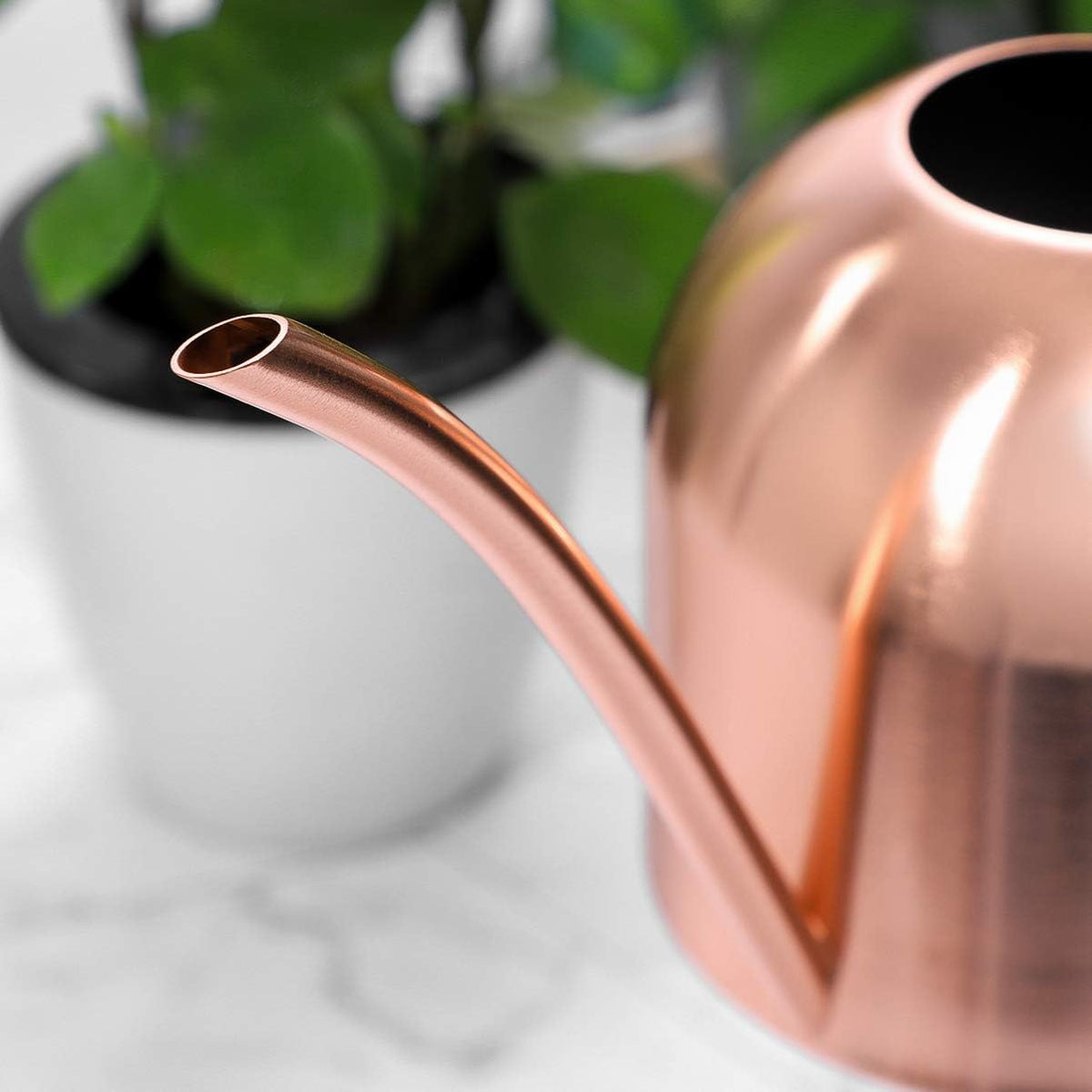 Yardwe 1000ml Stainless Steel Watering can for Indoor Plants, Long Spout Watering Pot for Garden Home Office, Rose Gold