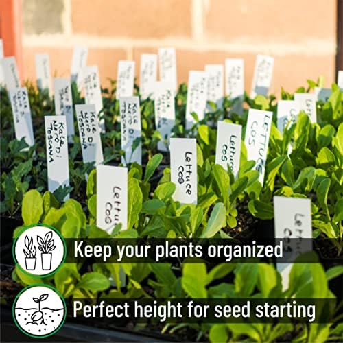 Mr. Pen- Plastic Plant Labels, 100 Pcs, 4“, White