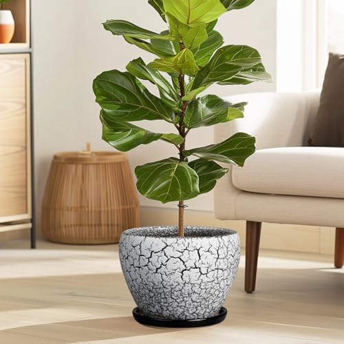 Ceramicfor Ceramic Plant Pot 8 Inch, Glaze White and Black