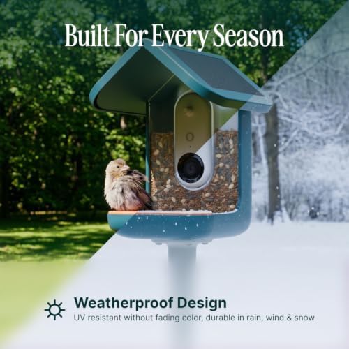 Birdbuddy Pro Solar Smart Bird Feeder with Camera, AI Bird ID, 2K Video