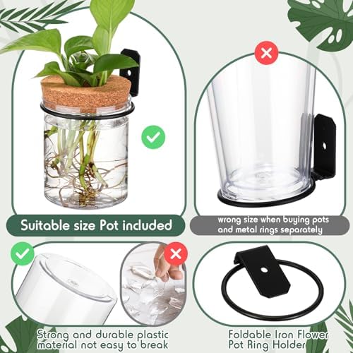 Baderke 6 Set Wall Plant Holder with Plastic Propagation Vases Hanging Planter Wall Mounted Set for Plants Growing in Water Hydroponic Artificial Plants Indoor Decor (3.54" X 4.33",Stylish)