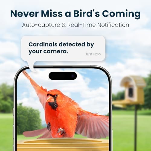 Smart Bird Feeder with Camera, Yellow