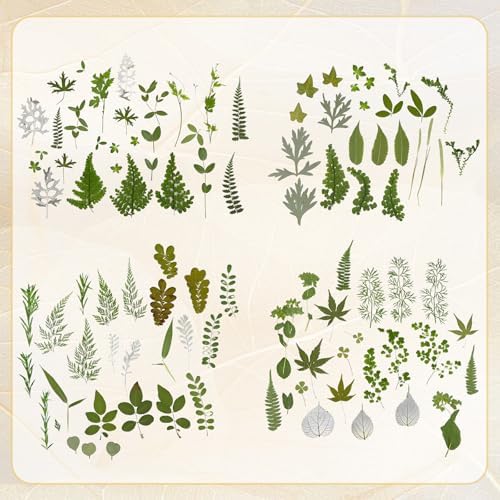 Augshy Pressed Dried Leaves Flowers, 100 Pcs Green Dried Flowers Leaves for Resin Molds Assorted Real Pressed Flowers for Crafts DIY Jewelry Molds, Scrapbooking, Candle