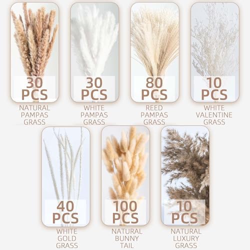 300PCS Natural Dried Pampas Grass Boho Home Decor Bouquet Phragmites Dried Flowers Bouquet for Wedding Floral Arrangements Home Decorations (300PCS)
