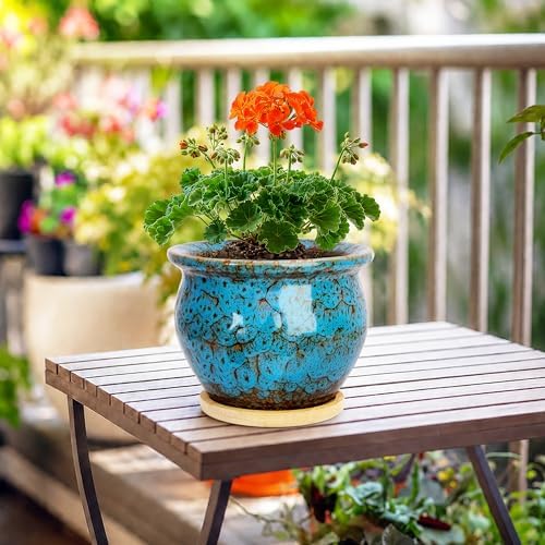 Plant Pots, 4.5 Inch Ceramic Pots for Plant with Drainage, Succulent Pots