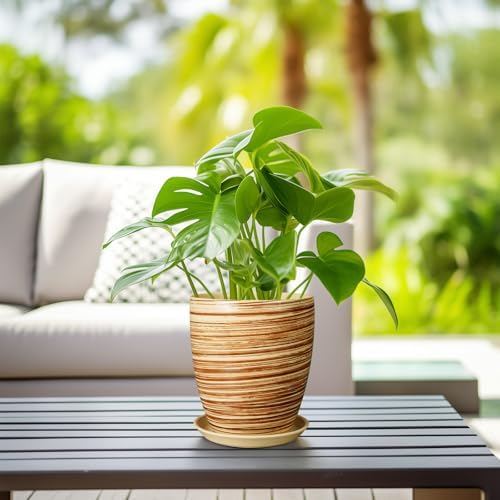 8 Inch Plant Pot, Ceramic Planter with Drainage Hole and Saucer Large Flower Pot for Home Patio Garden Office, Yellow