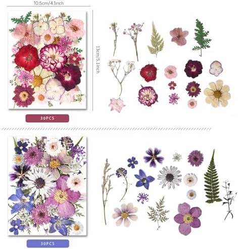 184 PCS Real Pressed Dried Flowers and Leaves for Resin