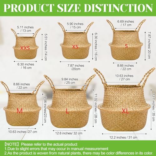 Qunclay 8 Pcs Woven Seagrass Baskets Belly Basket, XXS,6.3''dx5.5''h