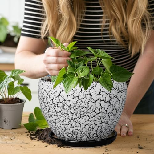 Ceramicfor Ceramic Plant Pot 8 Inch, Glaze White and Black