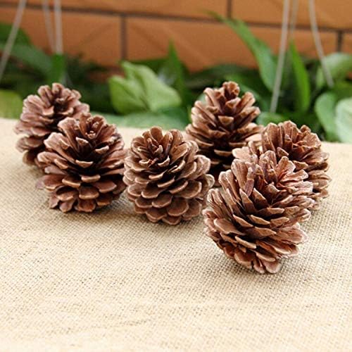 25 Pack Natural Pine Cones for DIY Christmas Tree Fall Decor