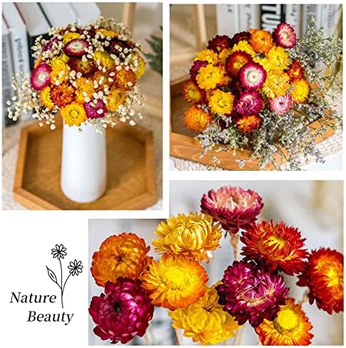 40 Pcs Dried Daisy Flower Bouquet, 17" Yellow Fall Flowers, Vase Filler