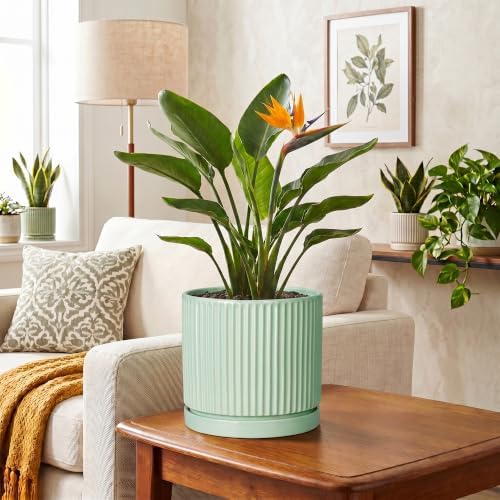 Ceramic Plant Pots, 8 Inch Pots for Plants with Saucer, Mint Green
