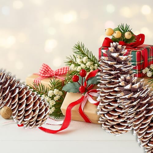 Large Pine Cones for Crafts, 9-12 Inch Extra Large Frosted Sugar Pinecones - Set of 3 Natural Pine Cones for Christmas Tree Ornaments, Vase Fillers, Rustic Home & Holiday Décor - Frosted