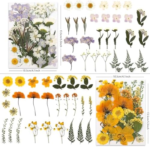 LUXEEASE 4 Color 110P Long Stem Dried Pressed Flowers