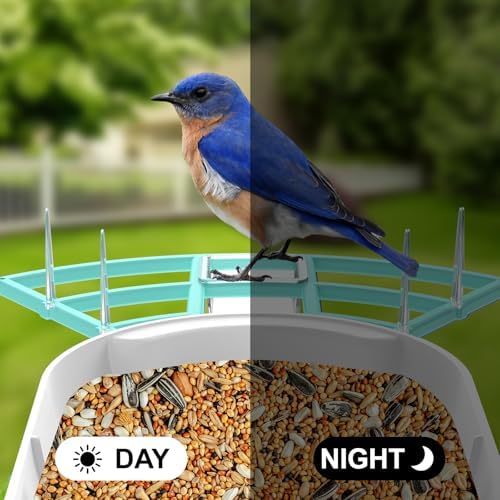 Bird Feeder with Camera,WiFi Smart Bird House with Cam Solar Powered