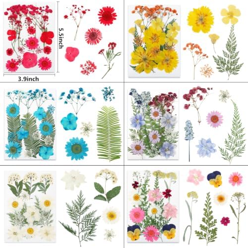 428 Pcs Dried Pressed Flowers for Resin,Real Nature Dried Flowers for Craft