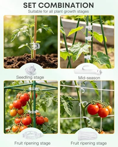 300Pcs Tomato Clips,Transparent Garden Plant Clips,Plastic Trellis Clips for Tomatoes,Cucumbers,Vines, Reusable Plant Support Clips, Gardening Supplies to Grow Upright
