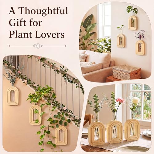 Capoda 3 Pack Wood Wall Vase, Arch Wall Propagation Station, Natural Wood
