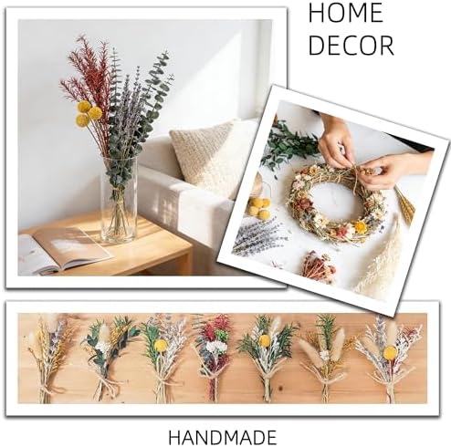 DIY Natural Dried Flower Set, 12 Kinds Bulk Dried Flowers Including Eucalyptus,Lavender,Wheat, Bunny Tails,Billy Ball,for Handmade,Home/Birthday/Seasonal Decor