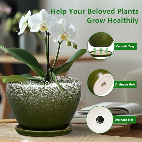 Ceramicfor 8 Inch Plant Pot - Ceramic Planter with Drainage, Dark Green