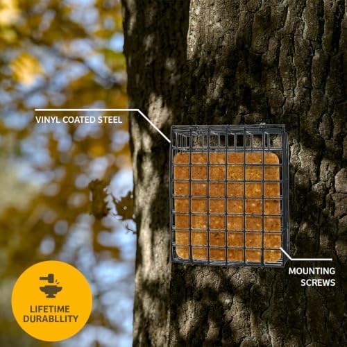 Birds Choice Suet Cage Feeder, Holds 1 Suet Cake | Hanging Bird Suet Feeder for Woodpeckers, Jays, Nuthatches | Vinyl Coated Grids | Sturdy for Garden, Backyard, Outdoor | 4.75" L x 1.625" W x 6" H