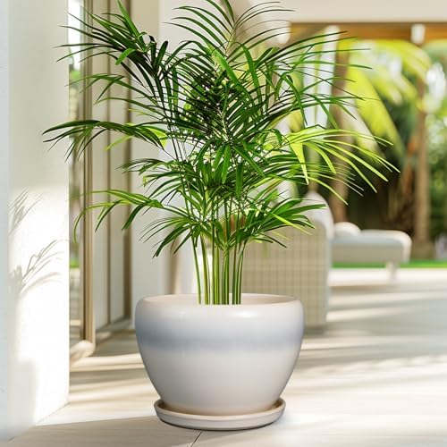 Ceramicfor 10 Inch Ceramic Planter Pot, Cream White