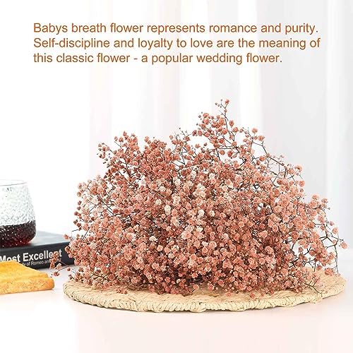 3200+ Babys Breath Dried Flowers Bouquet, 17" Brown for Fall Vase Decor