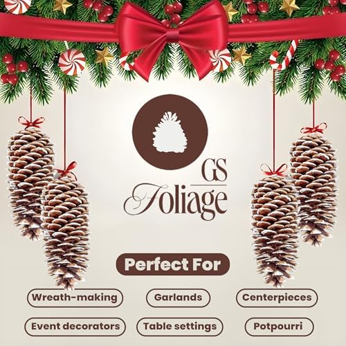 Large Pine Cones for Crafts, 9-12 Inch Extra Large Frosted Sugar Pinecones - Set of 3 Natural Pine Cones for Christmas Tree Ornaments, Vase Fillers, Rustic Home & Holiday Décor - Frosted