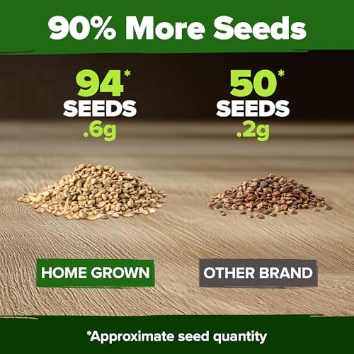HOME GROWN Banana Pepper Seeds, 94+ Seeds, Capsicum annuum