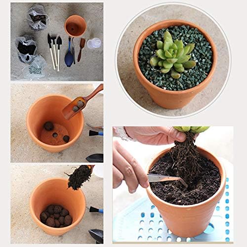 OLEEP Clay Pots - 10 Pack (5.5 inch) Large Terra Cotta Plant Pot with Drainage Hole,Garden Pots, Clay Planters Pot