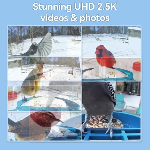 Smart Bird Feeder with Camera 2.5K HD Solar AI