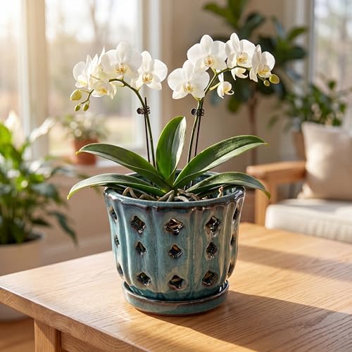 6 Inch Ceramic Orchid Pot with Holes, Ocean Blue