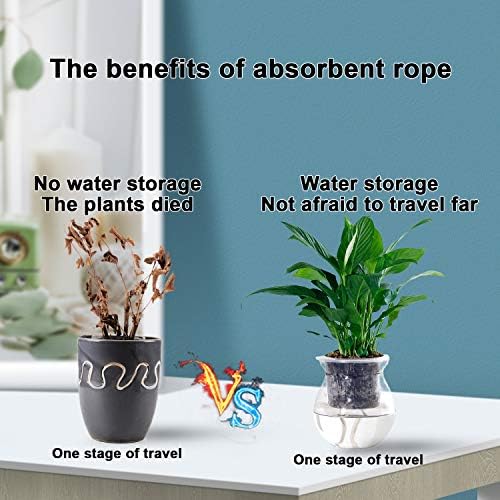 Augshy 1/6 Inches Self Watering Wick Cord String Cotton Rope for DIY Plant Automatic Watering Device (40 Feet)