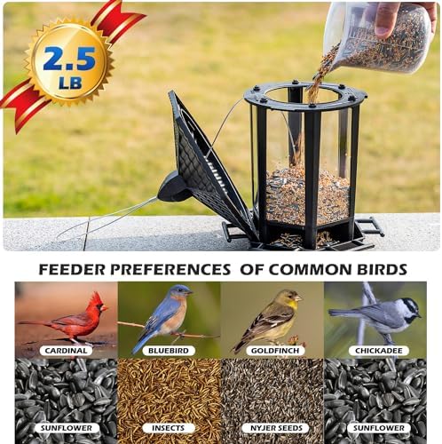 Birdream Hanging Bird Feeders, Retro Pagoda Design Fun Installation Squirrel Proof Bird Feeders, Attracting Wild Birds Chickadees Goldfinches Cardinals Finches and Sparrows - Black