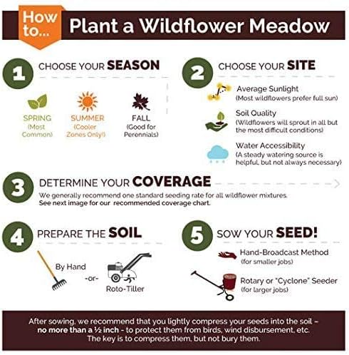 Non GMO Bulk Hummingbird/Butterfly Wildflower Seed Mix (5 lbs)
