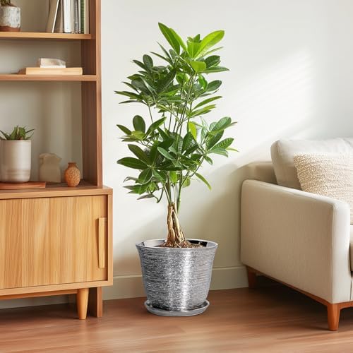 10 Inch Plant Pot, Ceramic Planter with Drainage Hole, Silver
