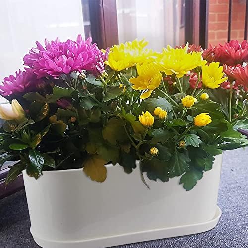 Window Box Planter with Saucers,10 Sets Rectangular Planter with Multiple Drainage Holes and Trays Plant Pots, for Succulent Cactus Flowers Vegetable