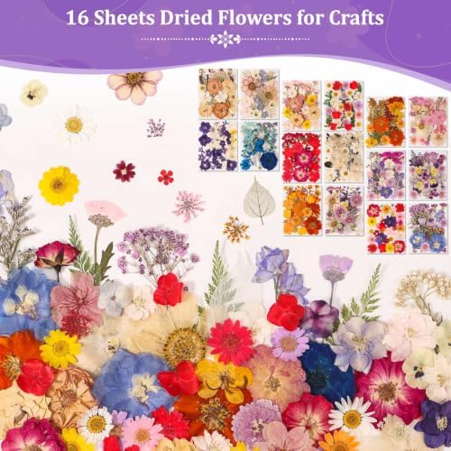 Evatage 480 Pcs Real Dried Pressed Flowers for Resin Crafts