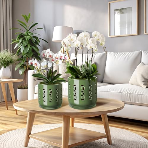 BUYMAX 5&6 Inch Ceramic Orchid Pots with Holes & Trays Root Care Planter