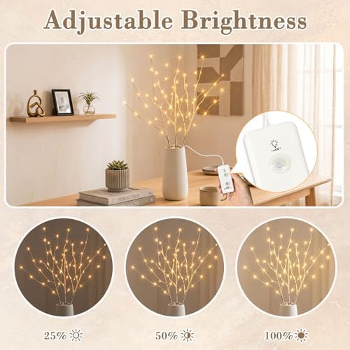 EAMBRITE Pre Lit White Birch Twig Branch Lights 30IN 60LT Plug in Lighted Willow Branch for Home Holiday Party Wedding Spring Decoration Indoor and Outdoor Use (Vase Excluded)