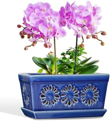 EFISPSS 10 Inch Orchid Pot, Ceramic Orchid Pots with Holes, Indoor Flower pots with Drainage and Saucer, Plant Pots Enhance Good Ventilation - Blue