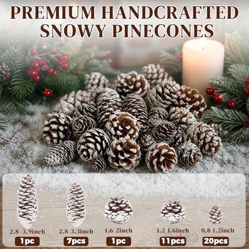 DOMESTAR 40 PCS Snow Pine Cones for Crafts, Natural Cones Bowl Fillers